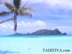 ���C���@���@�G�A�C�����h